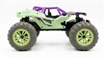 מכונית SKELETON - RZR