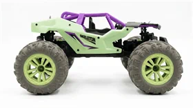 מכונית SKELETON - RZR