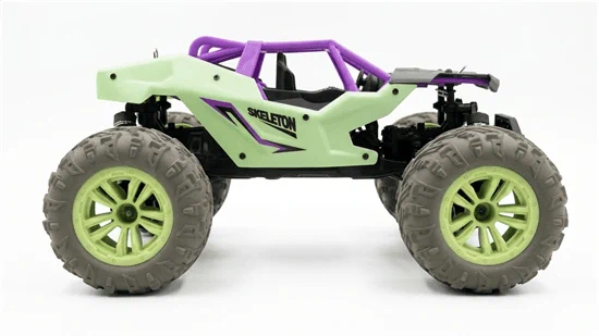 מכונית SKELETON - RZR